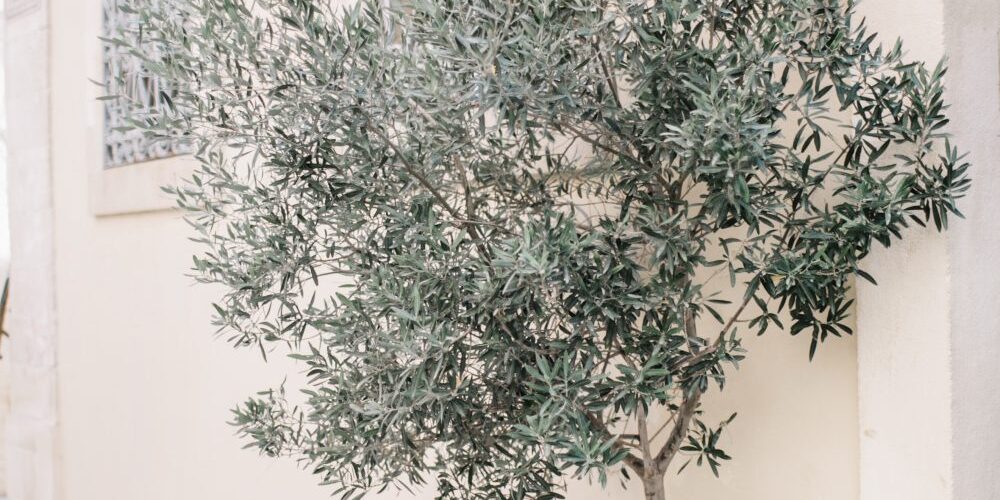 Sample Post with Lists